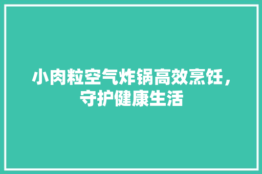 小肉粒空气炸锅高效烹饪，守护健康生活 空调