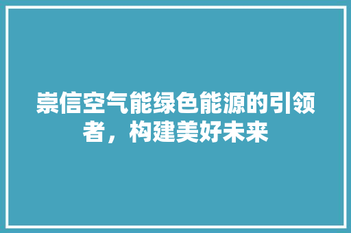 崇信空气能绿色能源的引领者，构建美好未来 旧房改造