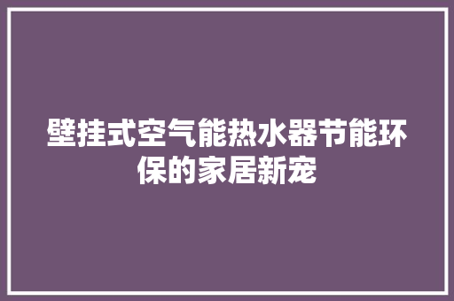 壁挂式空气能热水器节能环保的家居新宠 局部翻新