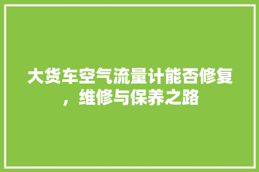大货车空气流量计能否修复，维修与保养之路 热水器