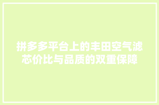 拼多多平台上的丰田空气滤芯价比与品质的双重保障 空调