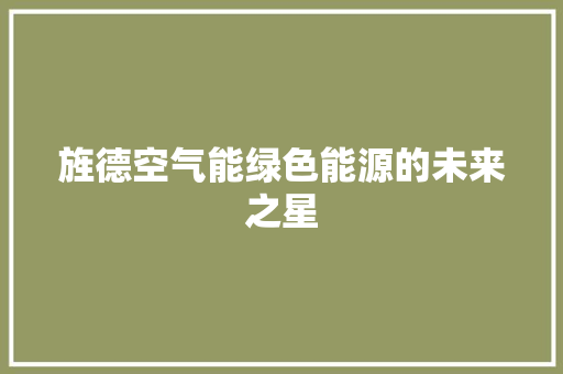 旌德空气能绿色能源的未来之星 热水器