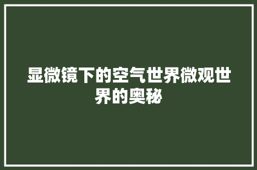 显微镜下的空气世界微观世界的奥秘 水电维修