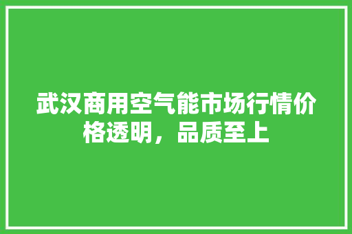 武汉商用空气能市场行情价格透明，品质至上 清洁保养