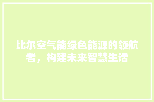 比尔空气能绿色能源的领航者，构建未来智慧生活 清洁保养