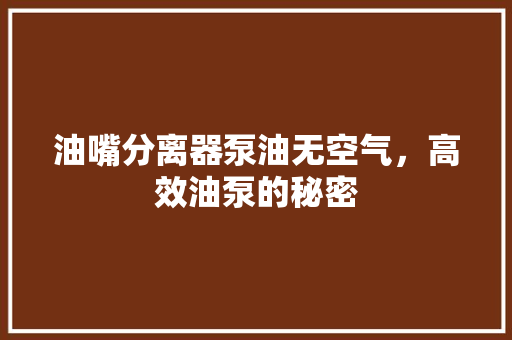 油嘴分离器泵油无空气，高效油泵的秘密 冰箱