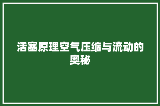 活塞原理空气压缩与流动的奥秘 局部翻新