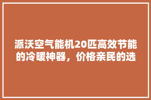 派沃空气能机20匹高效节能的冷暖神器，价格亲民的选择！ 空调