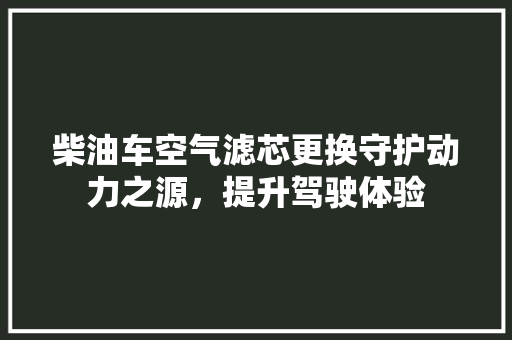 柴油车空气滤芯更换守护动力之源，提升驾驶体验 热水器