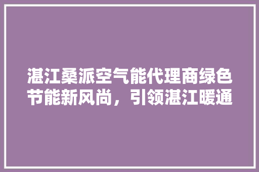 湛江桑派空气能代理商绿色节能新风尚，引领湛江暖通革命 清洁保养