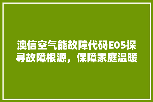 澳信空气能故障代码E05探寻故障根源，保障家庭温暖舒适 清洁保养