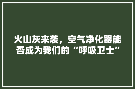火山灰来袭，空气净化器能否成为我们的“呼吸卫士” 家具修理
