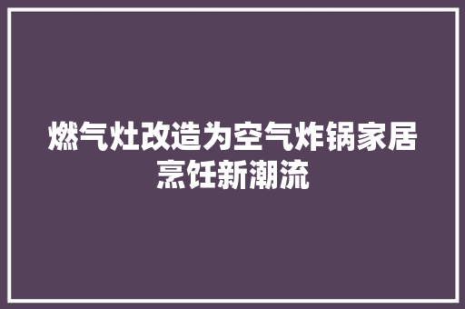 燃气灶改造为空气炸锅家居烹饪新潮流 家具修理