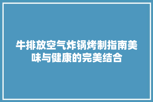 牛排放空气炸锅烤制指南美味与健康的完美结合 清洁保养