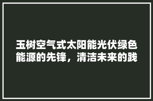 玉树空气式太阳能光伏绿色能源的先锋，清洁未来的践行者 贴膜
