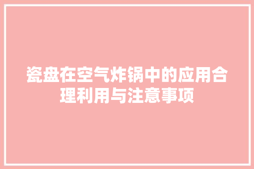 瓷盘在空气炸锅中的应用合理利用与注意事项 旧房改造