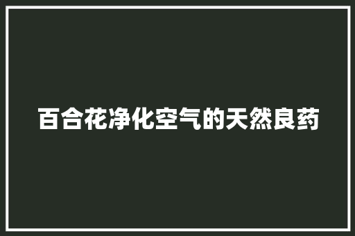 百合花净化空气的天然良药 家具修理
