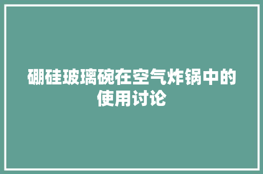硼硅玻璃碗在空气炸锅中的使用讨论 空调