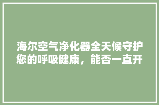 海尔空气净化器全天候守护您的呼吸健康，能否一直开启 洗衣机