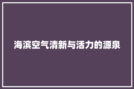 海滨空气清新与活力的源泉 热水器