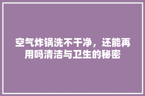 空气炸锅洗不干净，还能再用吗清洁与卫生的秘密 空调
