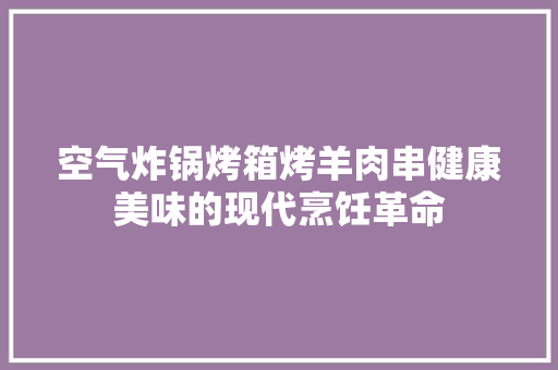 空气炸锅烤箱烤羊肉串健康美味的现代烹饪革命 清洁保养