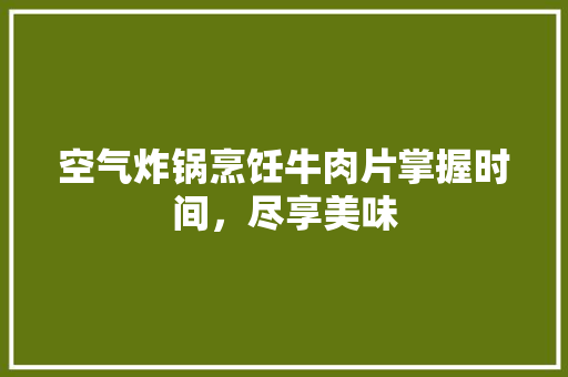 空气炸锅烹饪牛肉片掌握时间，尽享美味 空调