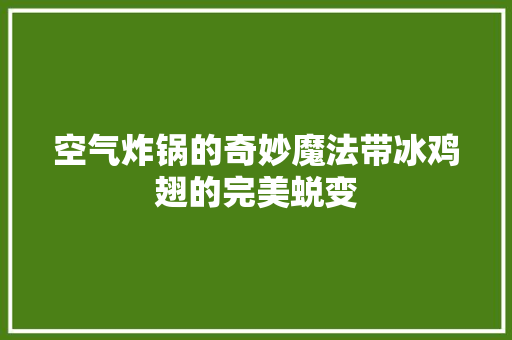 空气炸锅的奇妙魔法带冰鸡翅的完美蜕变 翻新改色