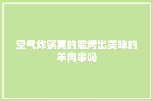 空气炸锅真的能烤出美味的羊肉串吗 家居维修