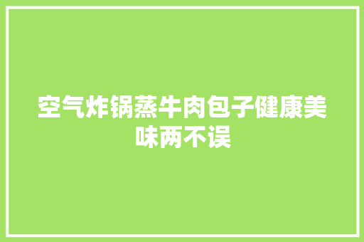 空气炸锅蒸牛肉包子健康美味两不误 热水器