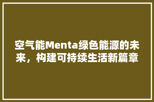 空气能Menta绿色能源的未来，构建可持续生活新篇章 洗衣机