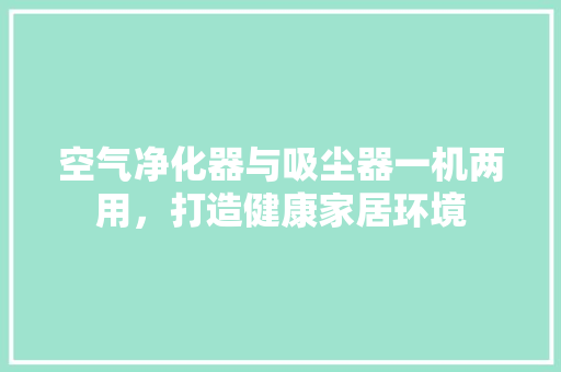 空气净化器与吸尘器一机两用，打造健康家居环境 装修设计