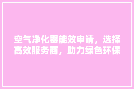 空气净化器能效申请，选择高效服务商，助力绿色环保事业 家电维护