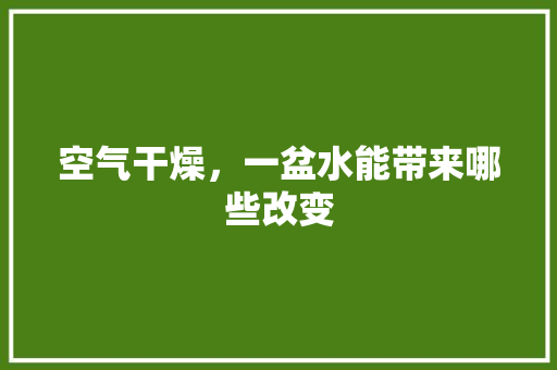 空气干燥，一盆水能带来哪些改变 冰箱
