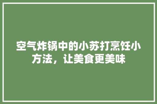 空气炸锅中的小苏打烹饪小方法，让美食更美味 装修设计