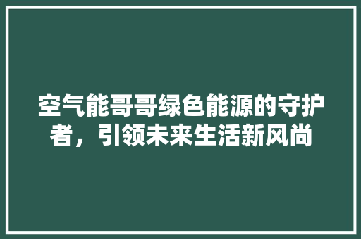 空气能哥哥绿色能源的守护者，引领未来生活新风尚 旧房改造