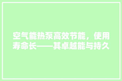 空气能热泵高效节能，使用寿命长——其卓越能与持久价值 清洁保养