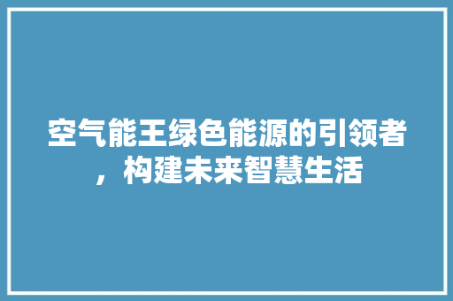 空气能王绿色能源的引领者，构建未来智慧生活 热水器