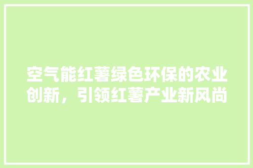 空气能红薯绿色环保的农业创新，引领红薯产业新风尚 清洁保养