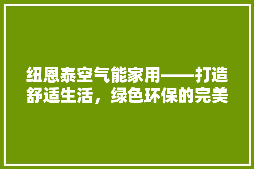 纽恩泰空气能家用——打造舒适生活，绿色环保的完美选择 家具修理