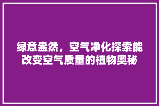 绿意盎然，空气净化探索能改变空气质量的植物奥秘 清洁保养