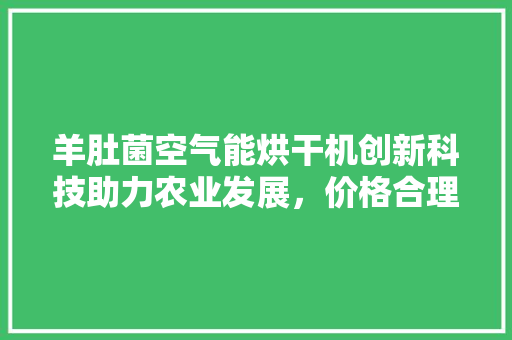 羊肚菌空气能烘干机创新科技助力农业发展，价格合理高效节能 家电维护