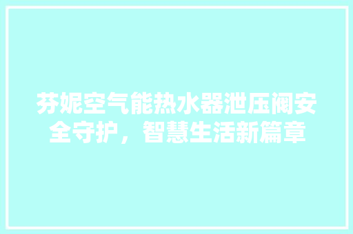 芬妮空气能热水器泄压阀安全守护，智慧生活新篇章 洗衣机