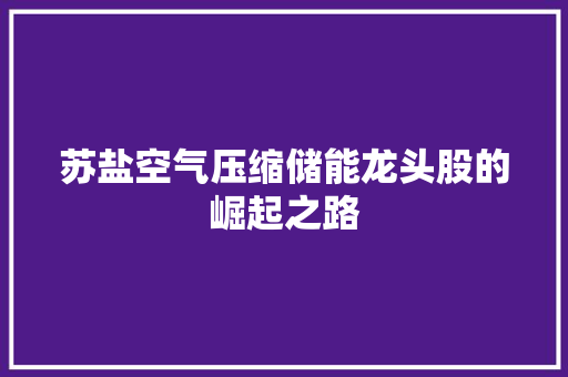 苏盐空气压缩储能龙头股的崛起之路 热水器 苏盐空气压缩储能龙头股的崛起之路 热水器