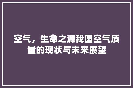 空气，生命之源我国空气质量的现状与未来展望 洁具维修