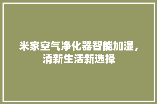 米家空气净化器智能加湿，清新生活新选择 热水器