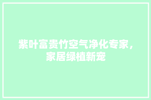 紫叶富贵竹空气净化专家，家居绿植新宠 龙头管件