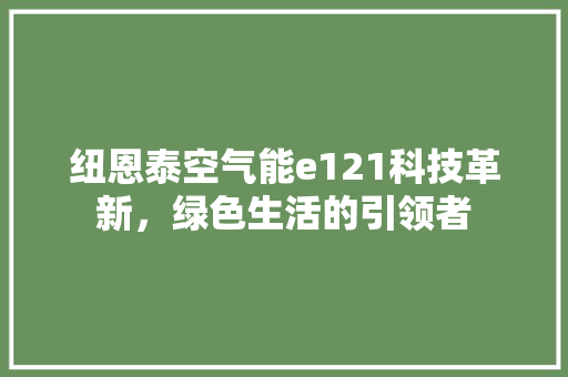 纽恩泰空气能e121科技革新，绿色生活的引领者 灯具安装