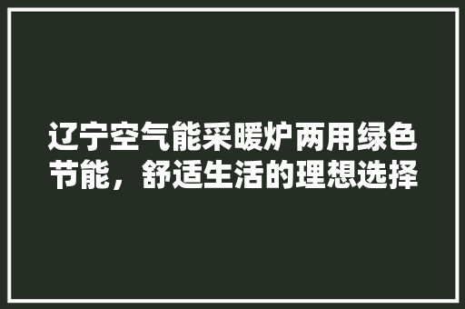 辽宁空气能采暖炉两用绿色节能，舒适生活的理想选择 旧房改造