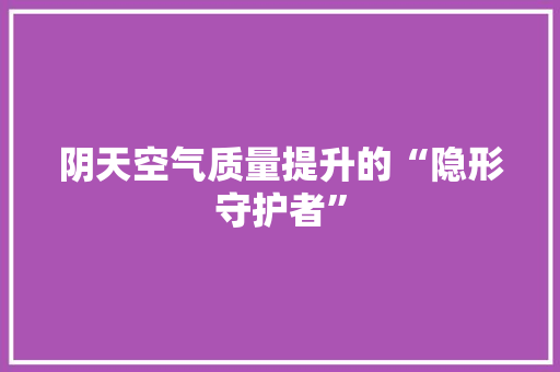 阴天空气质量提升的“隐形守护者” 龙头管件